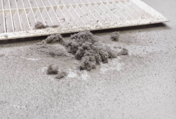 Best Affordable HVAC Duct Cleaning  in Countryside, IL