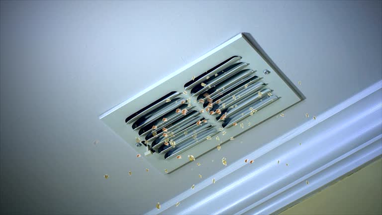 Best HVAC System Cleaning  in Countryside, IL